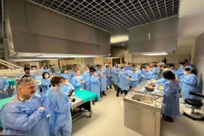 100’ü aşkın yabancı doktor, kadavralar üzerinde estetik cerrahi ameliyatı uyguladı