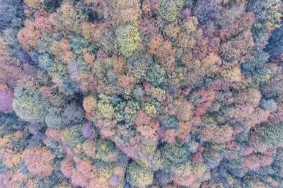 Düzce’de sonbahar renkleri dronla görüntülendi