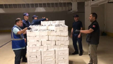 İstanbul'da boy yasağına aykırı avlanan 3 ton istavrite el konuldu