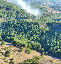 Çanakkale'de orman yangını