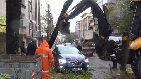 Avcılar'da ağaç otomobilin üzerine devrildi