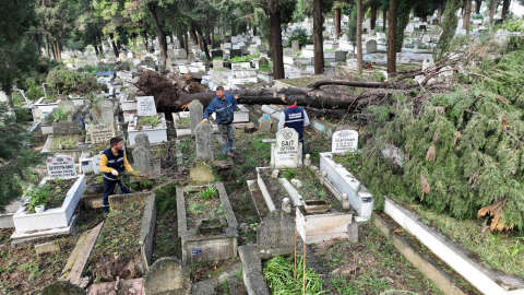Zonguldak'taki fırtınada devrilen ağaçlar nedeniyle 300 mezar hasar gördü